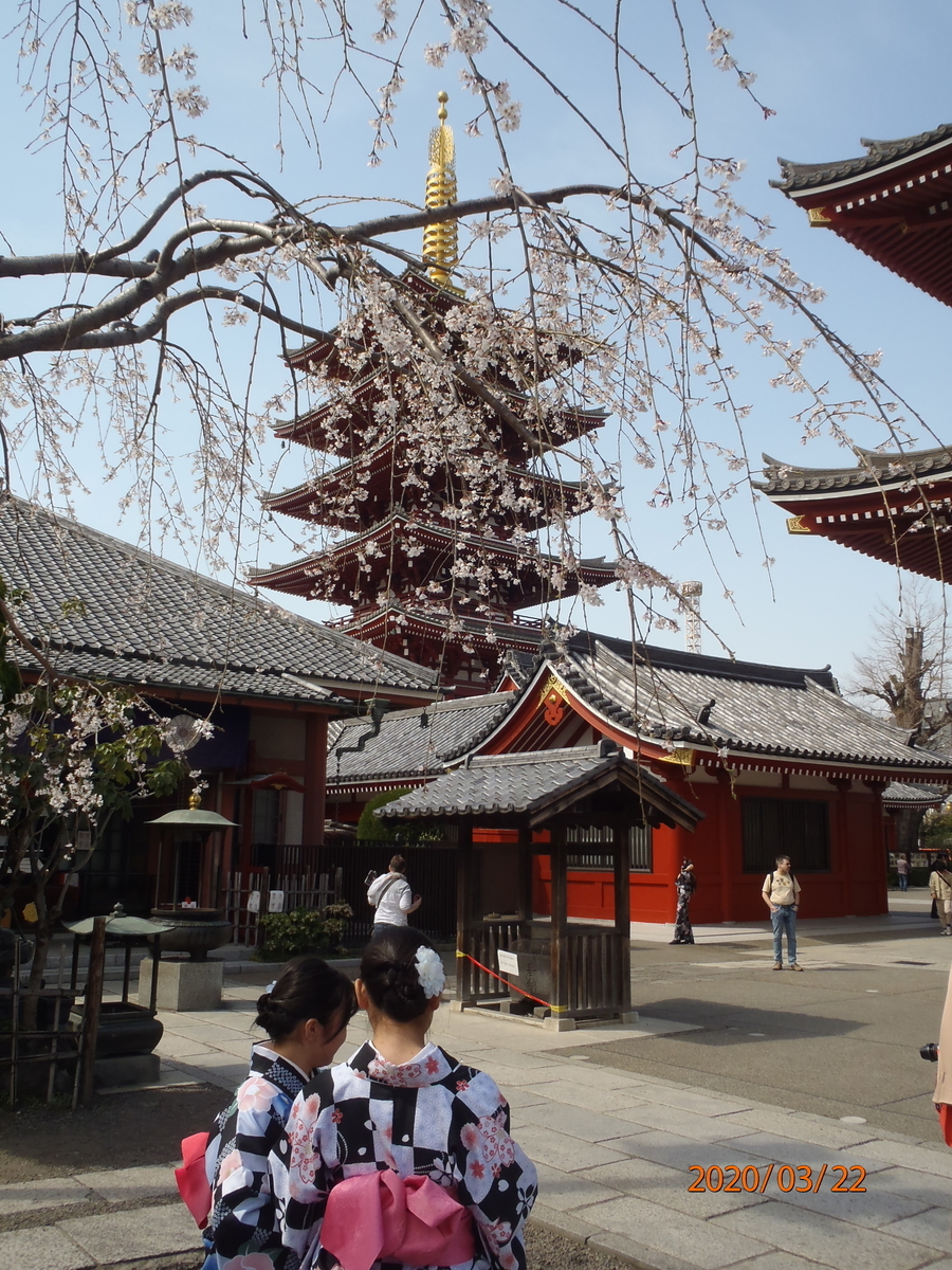 f:id:kimkaz:20200322132439j:plain f:id:kimkaz:20200322132439j:plain