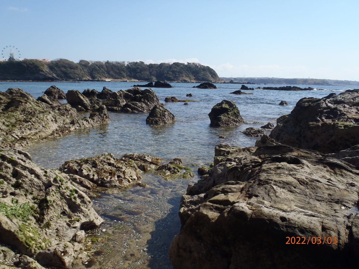 f:id:kimkaz:20220303121103j:plain