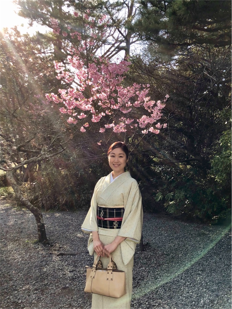 f:id:kimono-miko:20180425100358j:image