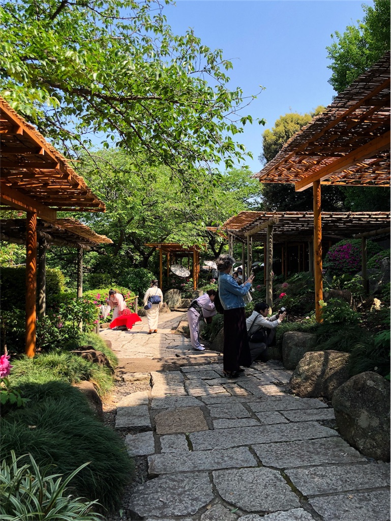 f:id:kimono-miko:20180428072547j:image