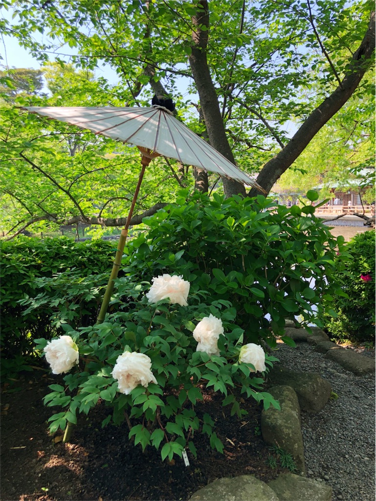 f:id:kimono-miko:20180428074226j:image