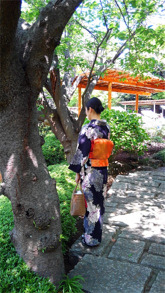 f:id:kimono-miko:20180428075020j:image