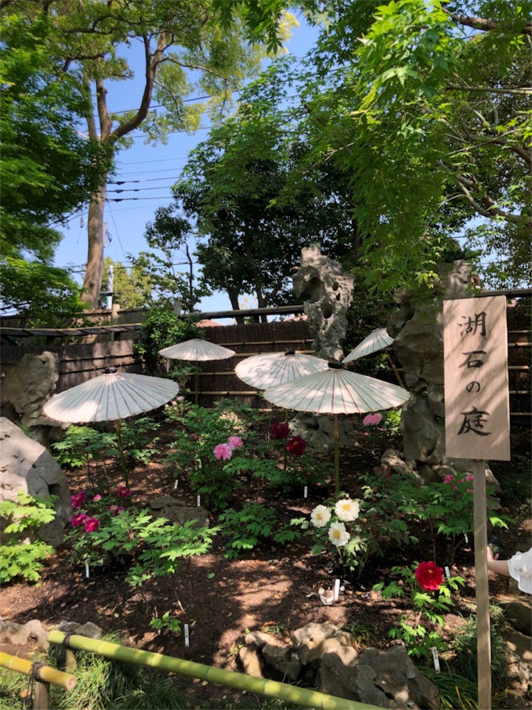 f:id:kimono-miko:20180428093041j:image