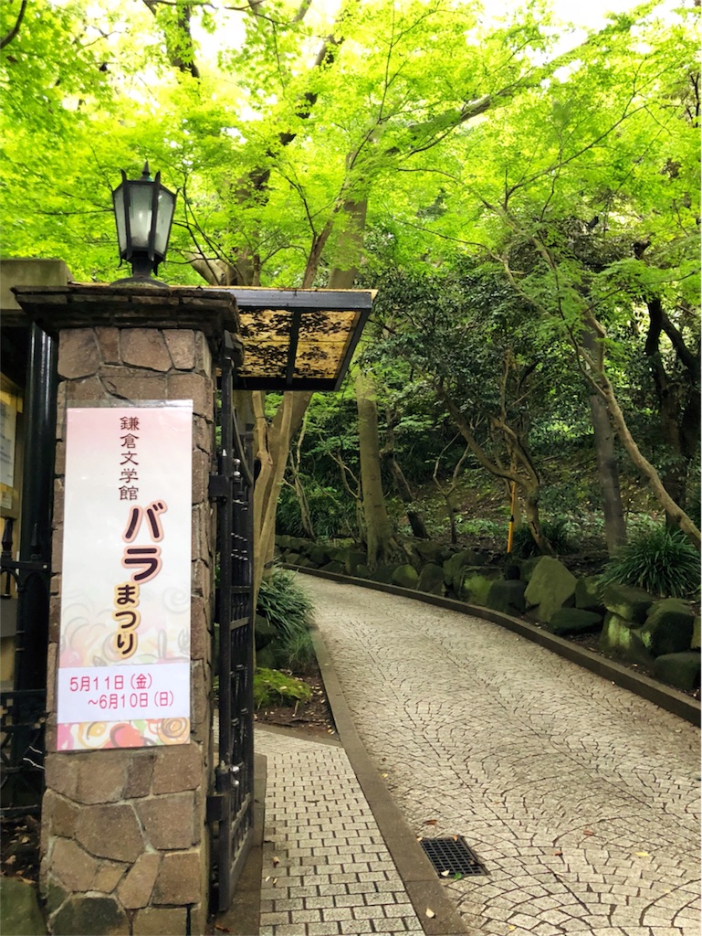 f:id:kimono-miko:20180615092217j:image
