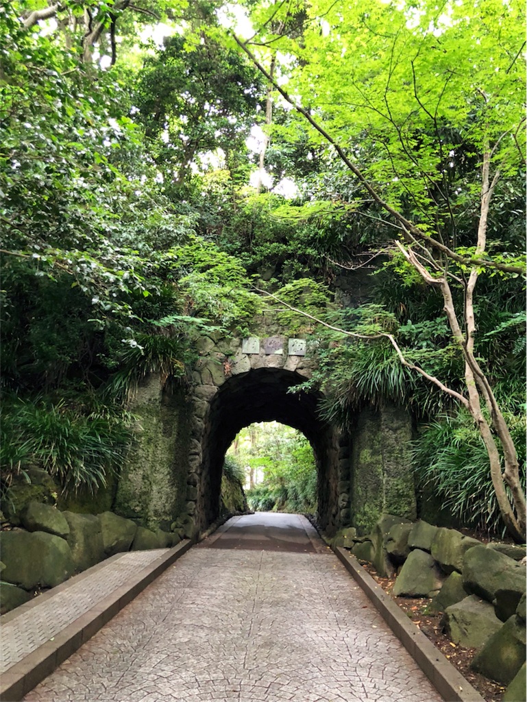 f:id:kimono-miko:20180615092257j:image