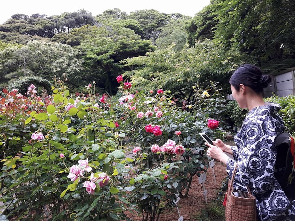 f:id:kimono-miko:20180618193626j:image