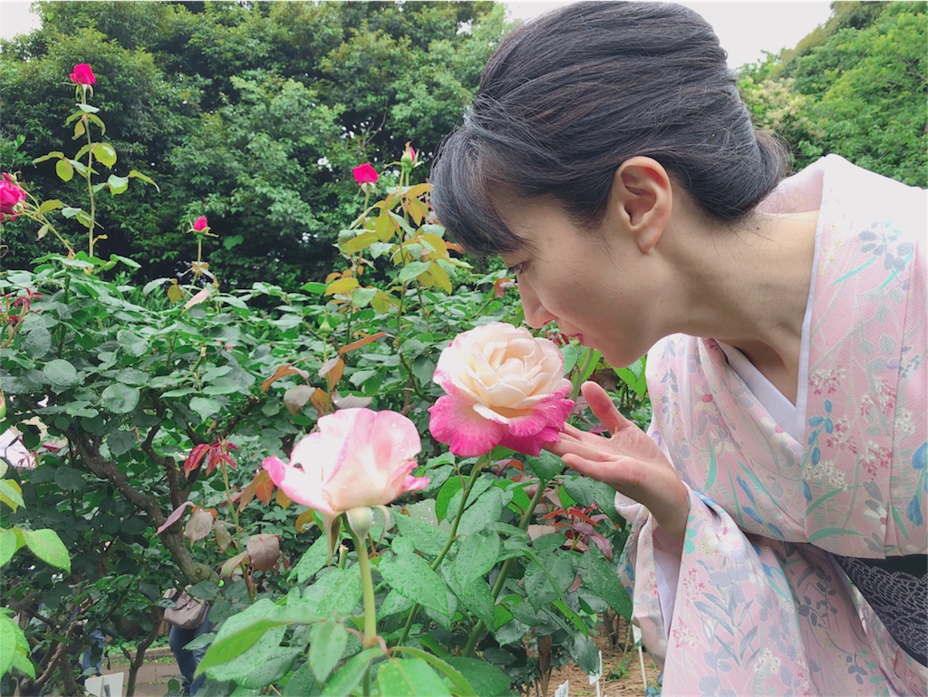 f:id:kimono-miko:20180618193640j:image