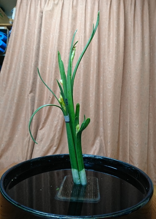 f:id:kimonohajimekaeru:20161209000721j:plain f:id:kimonohajimekaeru:20161209000721j:plain