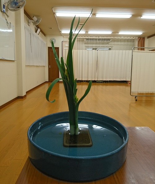 f:id:kimonohajimekaeru:20161209000731j:plain f:id:kimonohajimekaeru:20161209000731j:plain