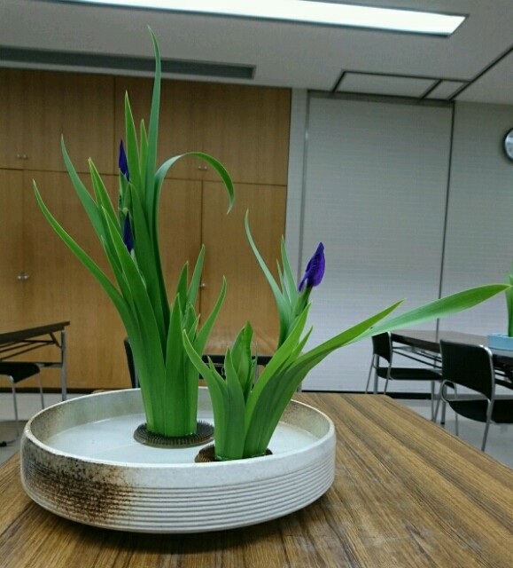 f:id:kimonohajimekaeru:20180514125314j:image f:id:kimonohajimekaeru:20180514125314j:image