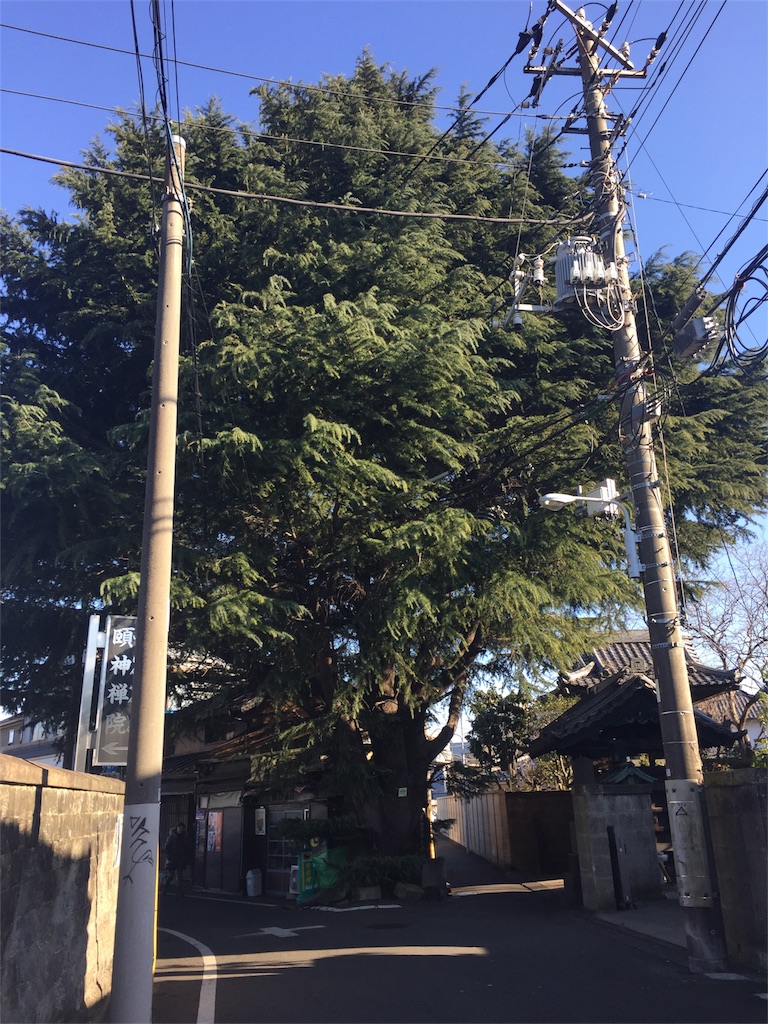 f:id:kimonox:20170122170552j:image f:id:kimonox:20170122170552j:image