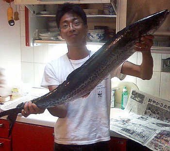 f:id:kimonoya3daime:20090826144729j:image