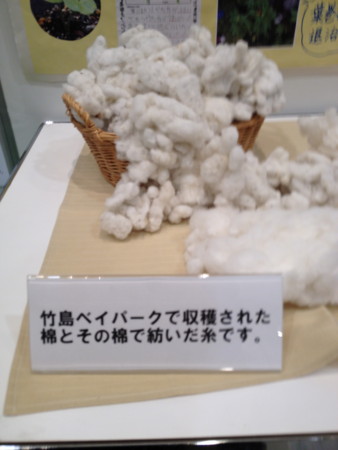 f:id:kimonoya3daime:20111118144934j:image