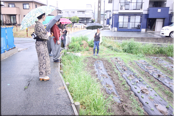 f:id:kimonoya3daime:20130513152806j:image f:id:kimonoya3daime:20130513152806j:image