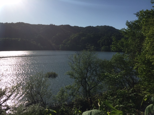 f:id:kimosn:20190601022229j:plain f:id:kimosn:20190601022229j:plain