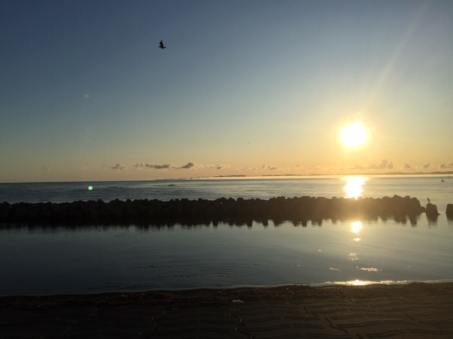 f:id:kimosn:20190923193015j:plain f:id:kimosn:20190923193015j:plain