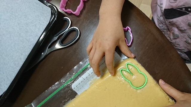f:id:kimotamakachan:20190212172223j:image f:id:kimotamakachan:20190212172223j:image