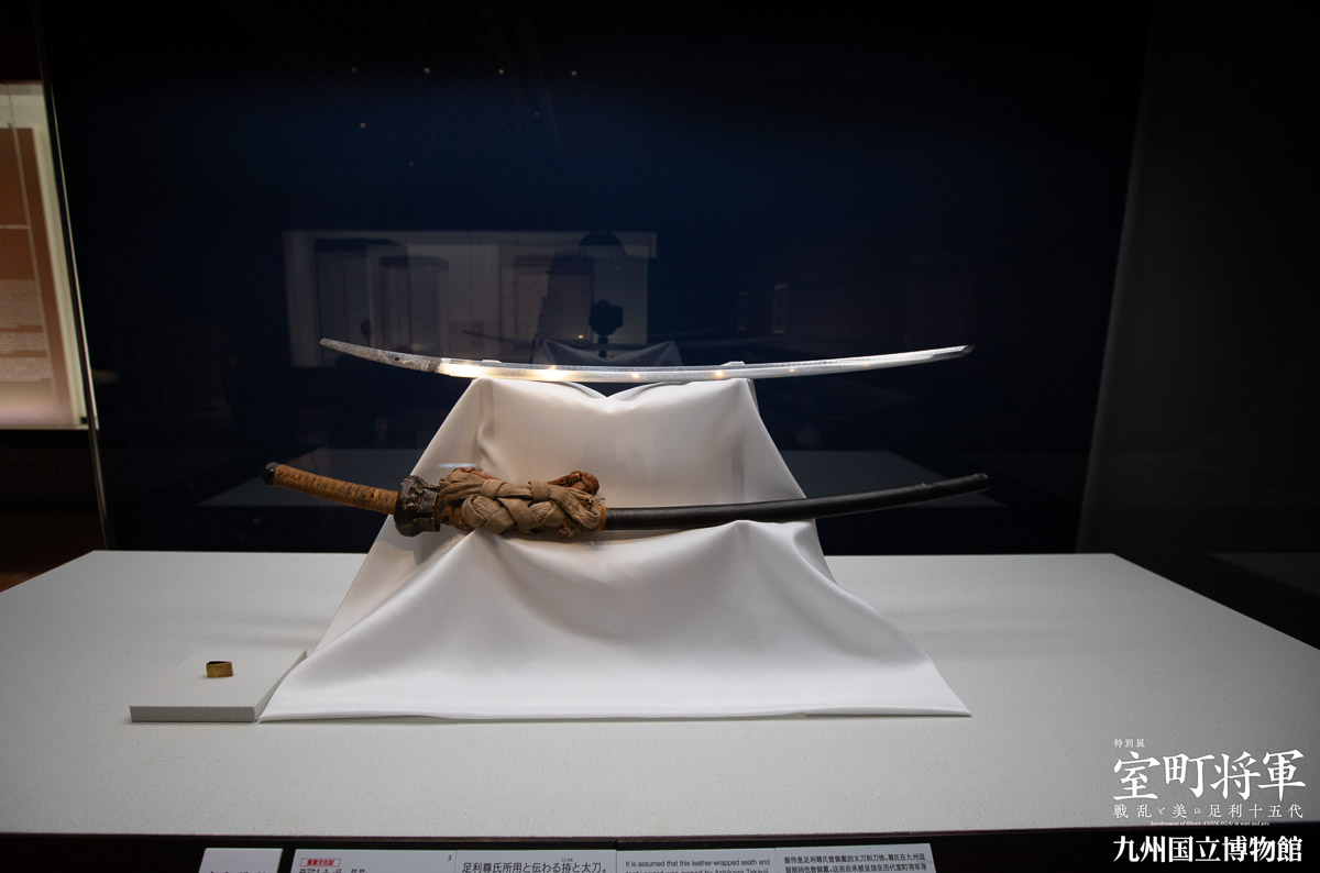 f:id:kimotokanata:20190813125744j:plain