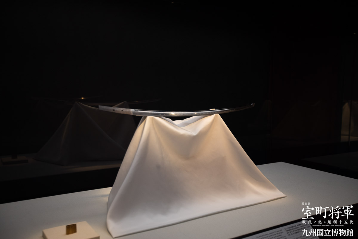 f:id:kimotokanata:20190813235504j:plain