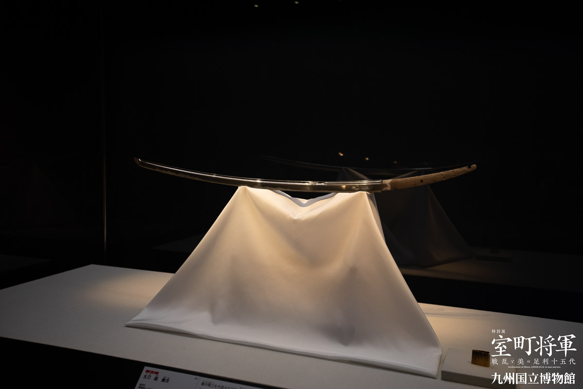 f:id:kimotokanata:20190813235937j:plain