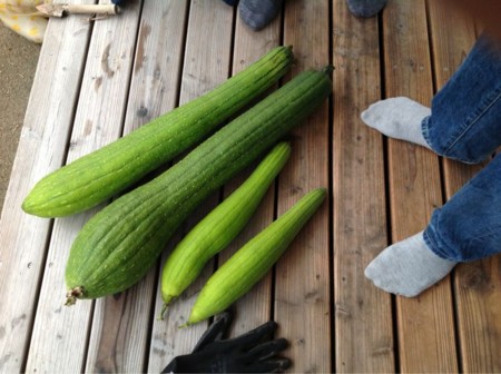 f:id:kimotsuki:20121123220935j:image:w360