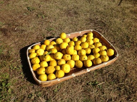 f:id:kimotsuki:20121128222315j:image:w360