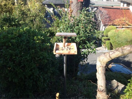 f:id:kimotsuki:20121128222332j:image:w360