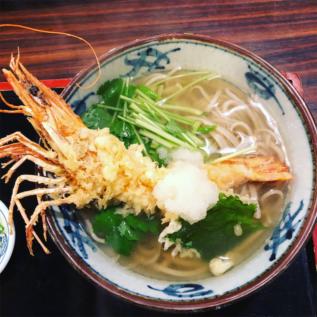 f:id:kimottamamama:20181231232233j:image
