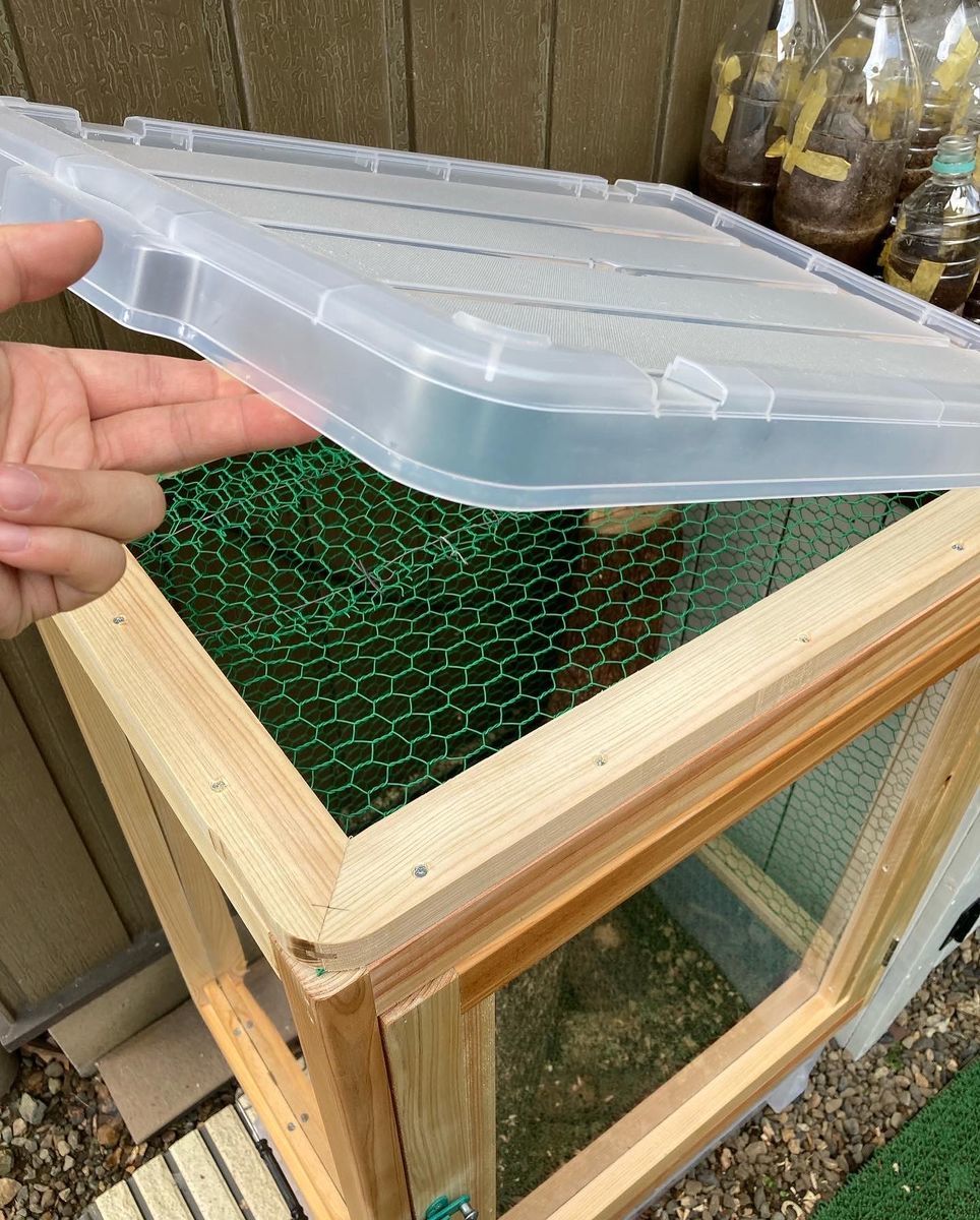 【早い者勝ち】カブトムシ飼育ケース（自作）夏準備におすすめ！ DIY】子ども大喜び！カブトムシ専用の特大飼育小屋を作ってみた