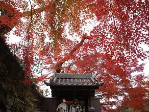f:id:kimrin:20101124155320j:image