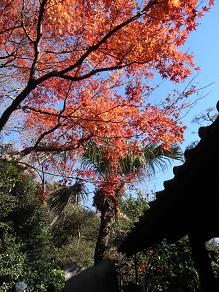 f:id:kimrin:20101223135607j:image