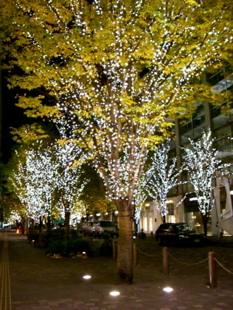 f:id:kimura-gaku:20081119202823j:image