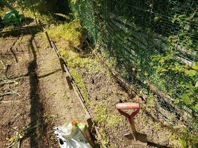 f:id:kimura-hiroki:20220505131958j:image