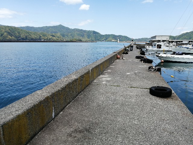 f:id:kimura-hiroki:20220507173454j:image