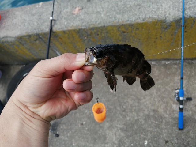 f:id:kimura-hiroki:20220507175431j:image
