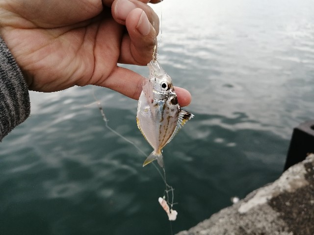 f:id:kimura-hiroki:20220507211335j:image