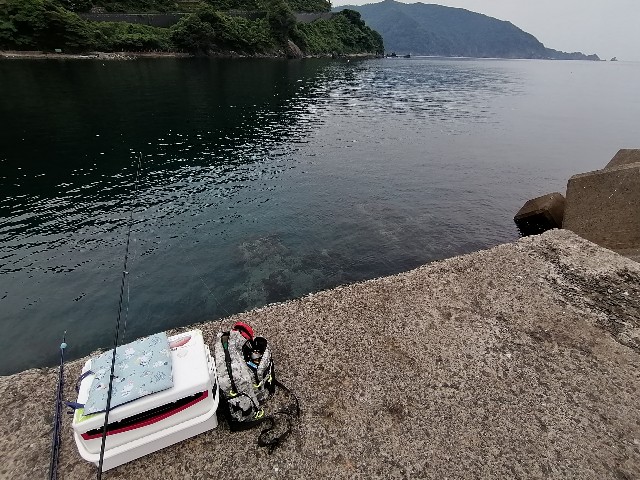 f:id:kimura-hiroki:20220618205810j:image