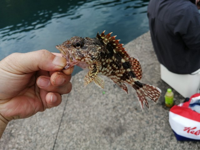 f:id:kimura-hiroki:20220619094436j:image