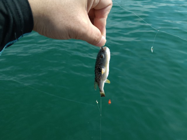 f:id:kimura-hiroki:20230618193224j:image f:id:kimura-hiroki:20230618193224j:image