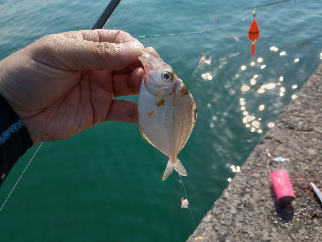 f:id:kimura-hiroki:20230618194243j:image f:id:kimura-hiroki:20230618194243j:image