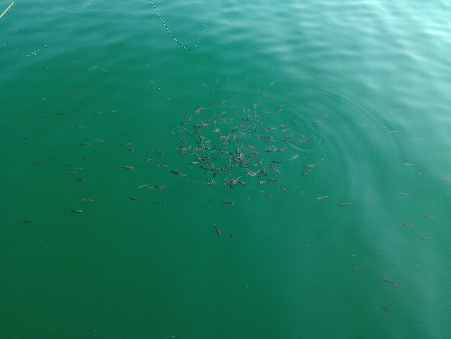 f:id:kimura-hiroki:20230618194426j:image f:id:kimura-hiroki:20230618194426j:image