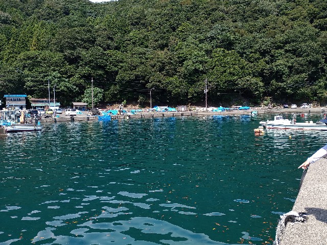 f:id:kimura-hiroki:20230909223011j:image