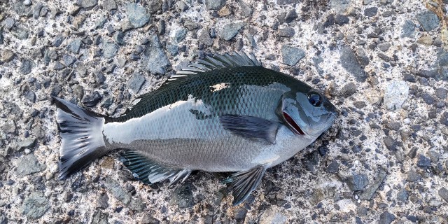 f:id:kimura-hiroki:20230910090638j:image f:id:kimura-hiroki:20230910090638j:image