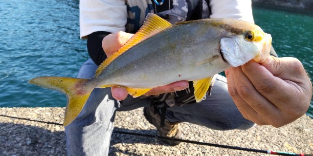 f:id:kimura-hiroki:20230910090641j:image f:id:kimura-hiroki:20230910090641j:image