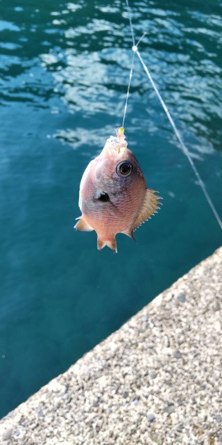 f:id:kimura-hiroki:20230910101532j:image f:id:kimura-hiroki:20230910101532j:image