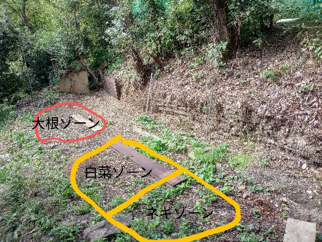 f:id:kimura-hiroki:20230918170529j:image f:id:kimura-hiroki:20230918170529j:image