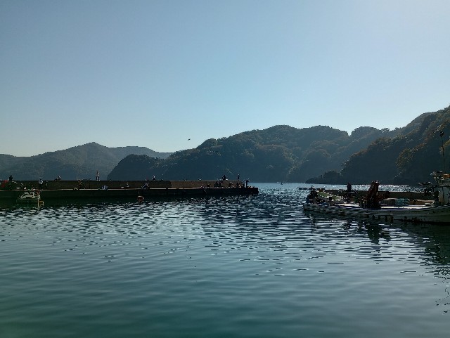 f:id:kimura-hiroki:20231103125854j:image