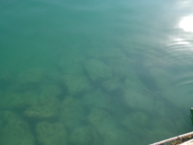 f:id:kimura-hiroki:20231103132150j:image