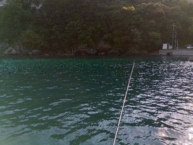 f:id:kimura-hiroki:20240916213832j:image f:id:kimura-hiroki:20240916213832j:image