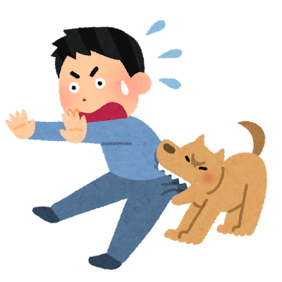 f:id:kimura_evkitty:20211112202420p:plain